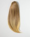 Sleek Mid-Length Pony by Hothair